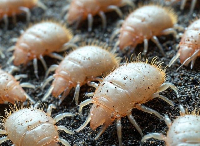 ����������� ������ ������ � �������� ��������� � ����� ����