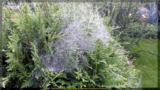 ������� ��������� ����: ������ �� ����� �� ���������� ��� ���������� ���������