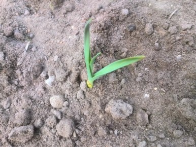 ��������� � ������� ���������� �������: 5 ����������� ��������