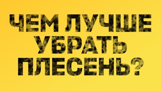 ������� � ����: �������� �������� ������ �����