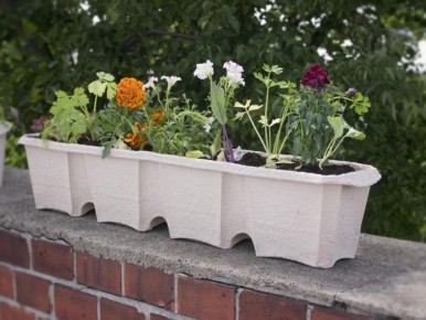 ��� �������� ��������� ��������� �������� � ������ ����