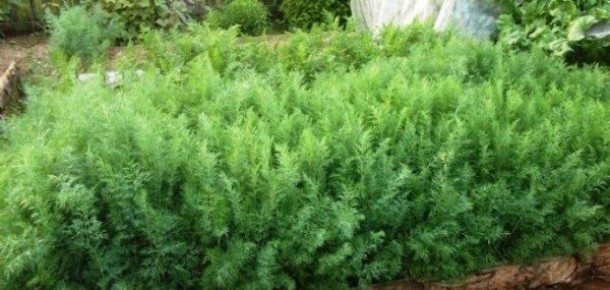 ������� ������ � �������� ����� ������: ��� ������� ��������� �����������