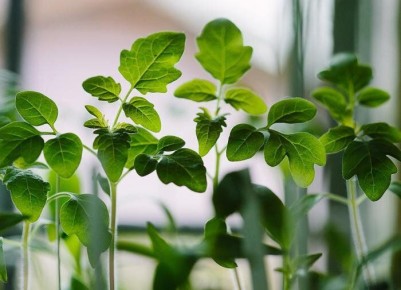 ��� ������� ��������� ��� ������� ������ �������