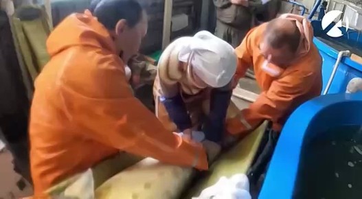 � ������������ ������� ��������� ����� ��������� ����