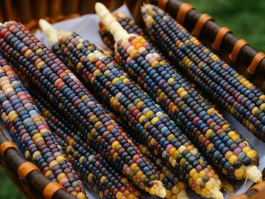 ���������� ��������: ������ �� ����� �������