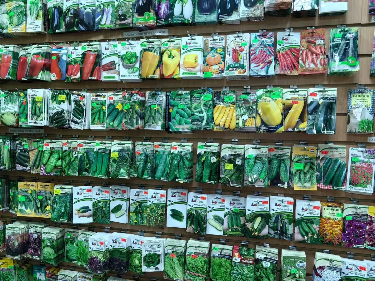 Как правильно выбрать семена для успешного дачного сезона