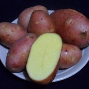 ��������� ���������: ��������� ��� ����� ������������ ���� � ������� �����������