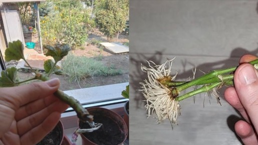 ��� ��������� ������: ����������� ������ ��� ������ � ������� ������