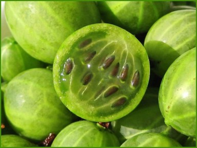 ��� ����� ����� �������: ������������ �������� �� ����� �������