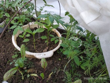 ����-���������� � �������: ��� �������� �������� �� ���������