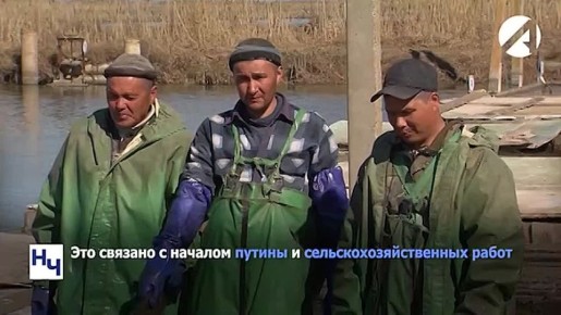 1500 ����������� ��� ��������������� � 2026 ����