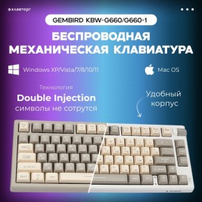 ��������� ������������ ���������� Gembird: ����� ������� �������� � �����