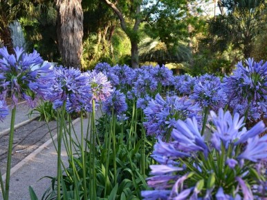 ��������� ����������: ������� ������ � �������� ��������