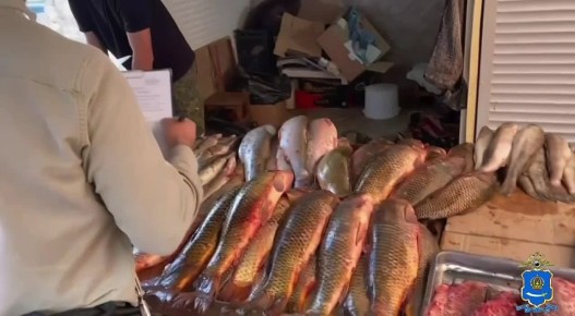 �� �������� �������� ����������� ������� 7 ������ ����������� ������� ������ �����������