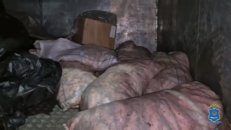 В Астрахани дорожные полицейские остановили транспортное средство, в котором незаконно перевозилось 500 килограммов воблы