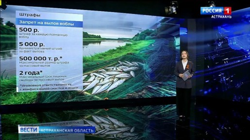 ������ � ��������� ����� ������ �����?