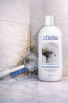 ������� � ���� � ��������: ��� �������� ���������� � ��������� ��������