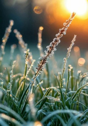 ��������! ��������� � ������������ �������!