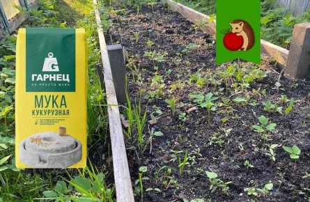 ��������� ������� ������������� ���������� ���� � �������