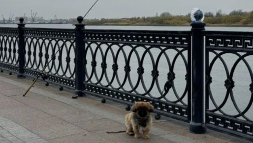 � ������������ ������� ��������� ����� � ���������� �����