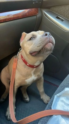 ������ �� �������. 27 ������ � ��������� ���� ���������� ����������, ��� ������������ �������