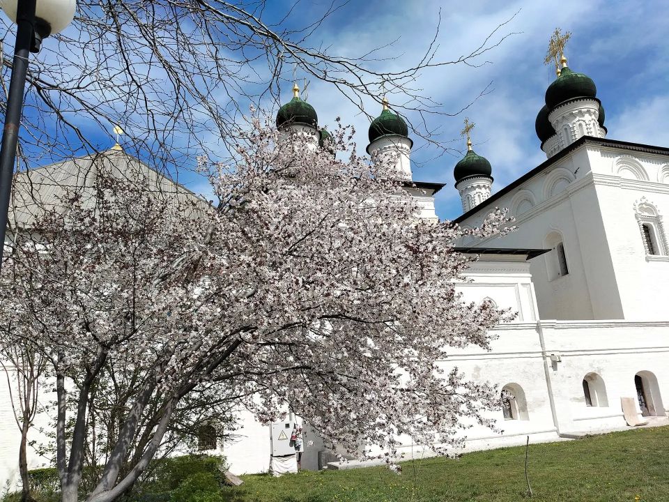 Хорошей рабочей недели!. Эти фотографии прислала наша подписчица Людмила Курбатова-Студенцова