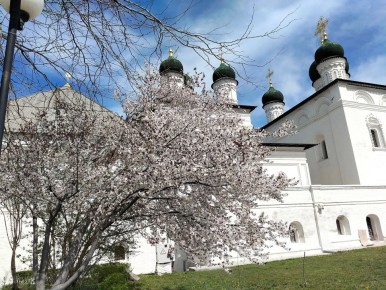 ������� ������� ������!. ��� ���������� �������� ���� ���������� ������� ���������-����������