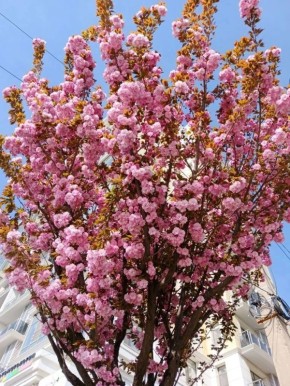 ����� - ����� ����������. ����� �������� ���������� ��� �������� ���� ���������� ��������� ���������