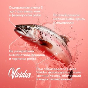 ������ ����� ������ ����� ������ ��������: ������� �����-3