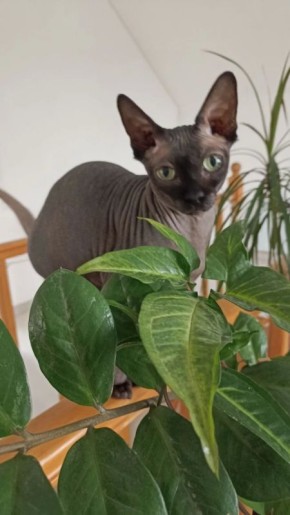 ������ �� �������. 30 ������ � ��������� ������������ ��������� ����������