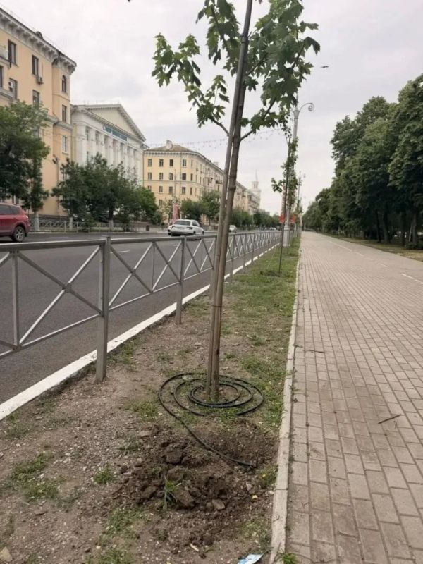 Администрация Астрахани приступила к масштабной модернизации и ремонту поливочных систем Администрация Астрахани приступила к масштабной модернизации и ремонту поливочных систем