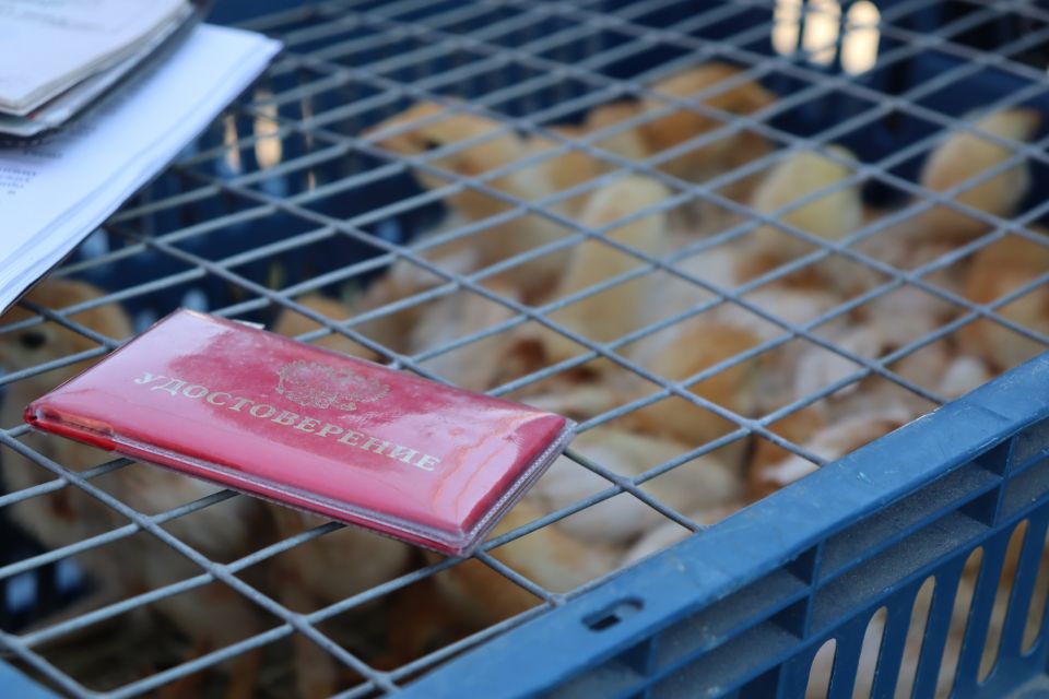 В минувшие выходные, согласно плану, состоялось рейдовое мероприятие по улице Панфилова В минувшие выходные, согласно плану, состоялось рейдовое мероприятие по улице Панфилова