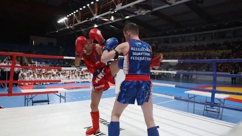 В Астрахани прошёл фестиваль единоборств в памяти бойцов СВО В Астрахани прошёл фестиваль единоборств в памяти бойцов СВО
