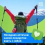 Собираешься в поход или на природу - возьми с собой аптечку