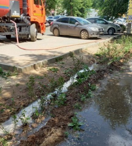 Городские новости: благоустройство, озеленение и оперативный ремонт Городские новости: благоустройство, озеленение и оперативный ремонт