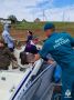 В Енотаевском районе выявлены нарушители на воде
