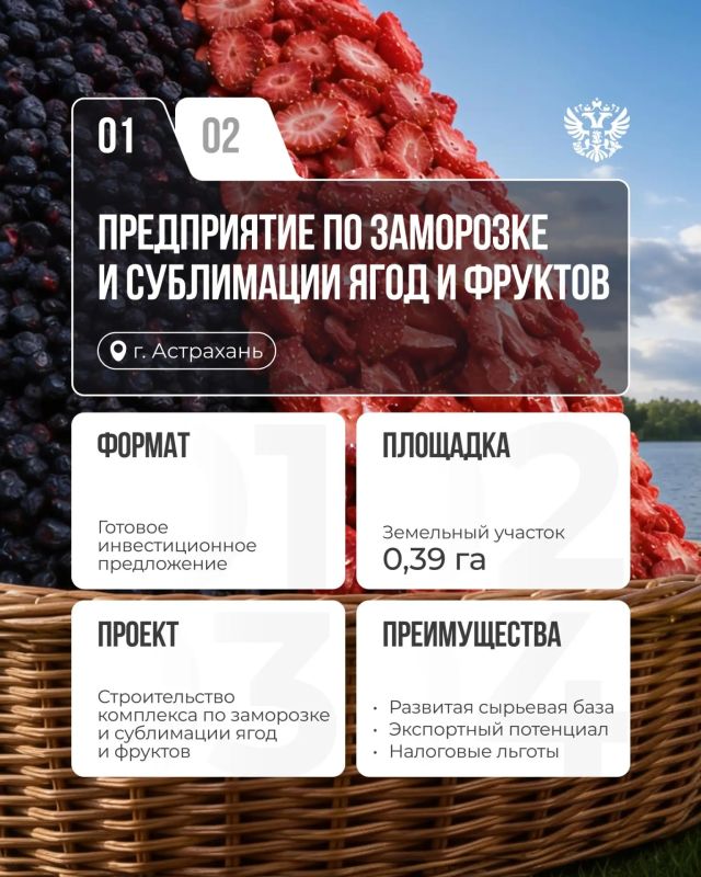 Пока все наслаждаются летом и собирают ягоды, мы собираем предложения для инвесторов!