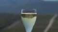 Сияние игристого: Brut d’Or Riesling в центре внимания