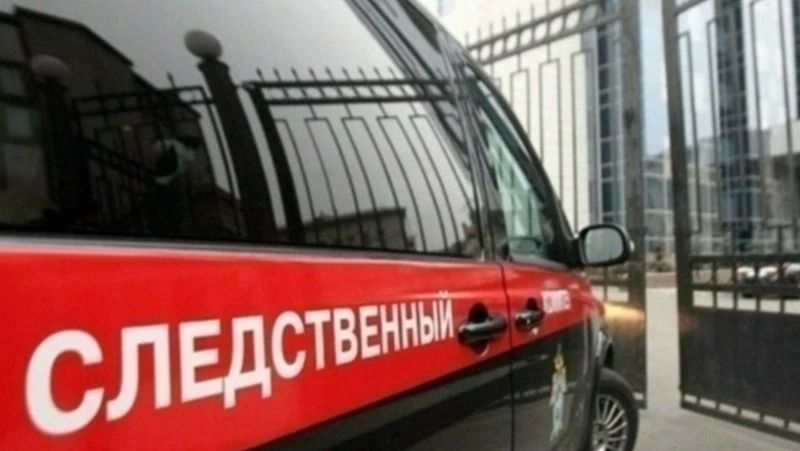 В Черноярском районе воспитателя детсада будут судить за нападение собак на ребёнка