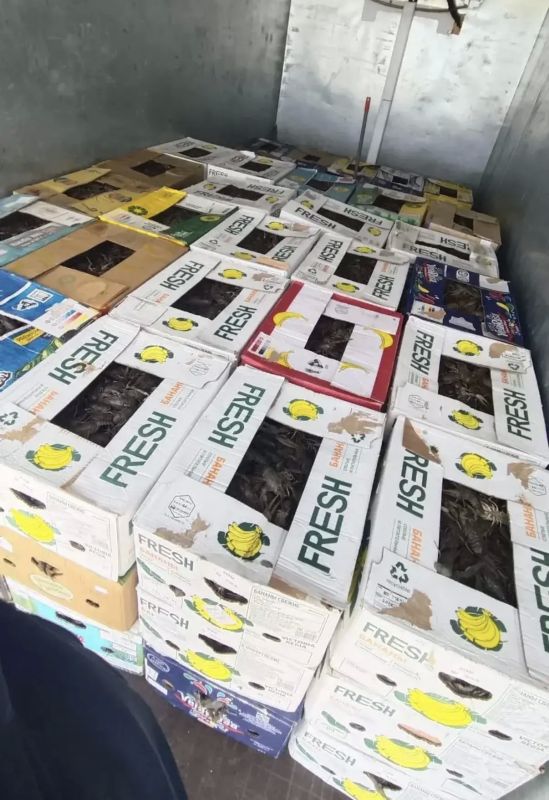 В Наримановском районе пресечена незаконная перевозка крупной партии раков В Наримановском районе пресечена незаконная перевозка крупной партии раков