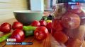 Сколько стоит собрать набор для приготовления домашних закруток на астраханских рынках