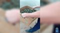 ��������� ������������ �������� ������� ������, � ���������� �������� ���������� ����� 200 �� ������������