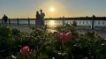24 ������� ����������� ����� ��� ������ ������