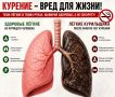 ������������� ������������ ������ �����������: