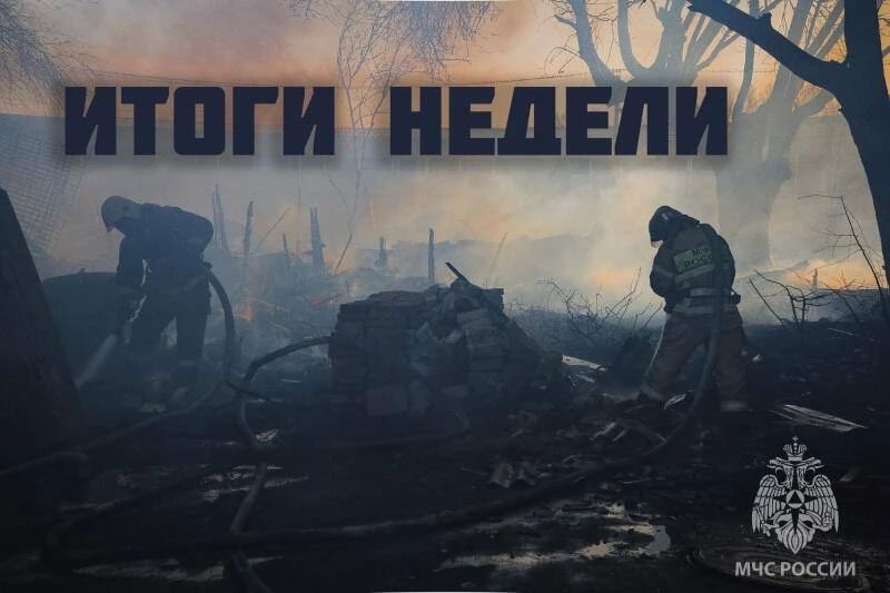 Итоги недели с 8 по 14 сентября 2026 г
