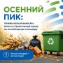 Осенний субботник на подходе? Главное о том, куда девать ветки и строймусор