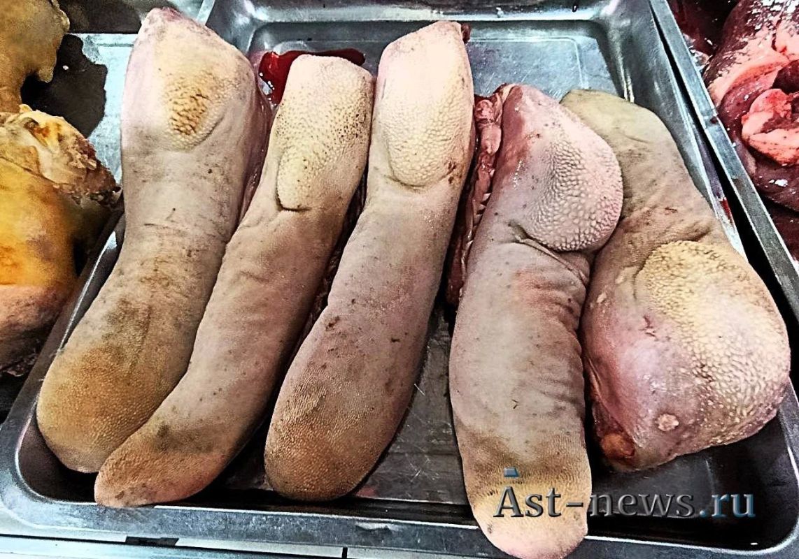 Чем потчуют астраханцев мясные прилавки? Чем потчуют астраханцев мясные прилавки?
