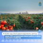Сельское хозяйство – одна из ключевых отраслей экономики Астраханской области