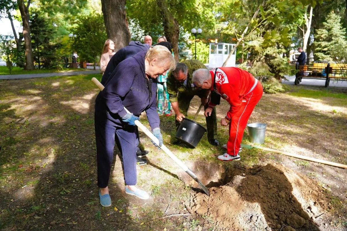 В День пожилого человека Братский сад пополнился новыми зелёными насаждениями В День пожилого человека Братский сад пополнился новыми зелёными насаждениями