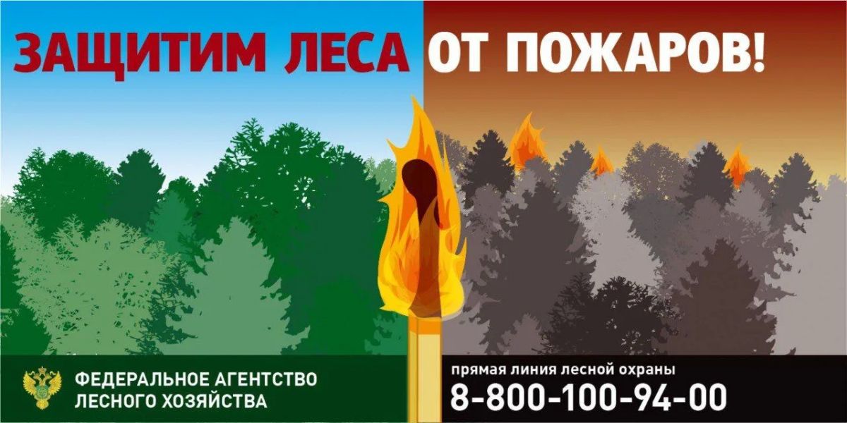 За прошедшую неделю по состоянию на 5 октября на землях лесного фонда в Астраханской области лесных пожаров не зарегистрировано